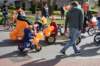 dsc_2565_small.jpg