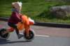 dsc_2571_small.jpg