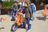 dsc_2595_small.jpg
