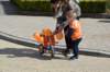 dsc_2598_small.jpg