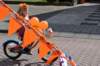 dsc_2617_small.jpg