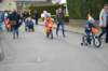 dsc_2651_small.jpg