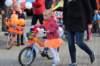 dsc_2668_small.jpg