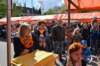 dsc_2810_small.jpg