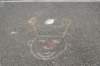 dsc_2961_small.jpg