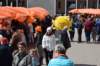 dsc_2985_small.jpg