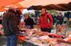 dsc_3009_small.jpg