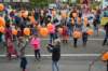 dsc_3211_small.jpg
