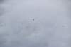 dsc_3224_small.jpg