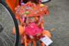 kd20190027_small.jpg
