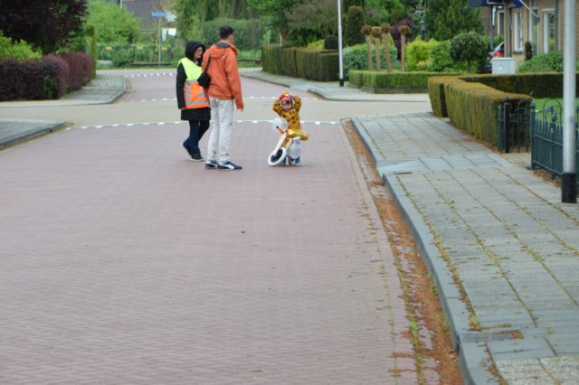 kd20190065.jpg