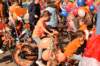 dsc_5151_small.jpg