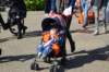 dsc_5194_small.jpg
