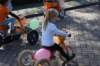 dsc_5228_small.jpg