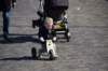 dsc_5283_small.jpg