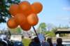 dsc_5288_small.jpg