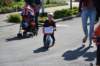 dsc_5336_small.jpg