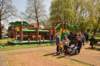 dsc_5460_small.jpg