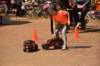 dsc_5469_small.jpg