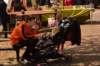 dsc_5481_small.jpg