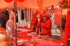 dsc_5500_small.jpg