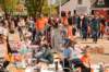 dsc_5538_small.jpg