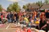 dsc_5599_small.jpg