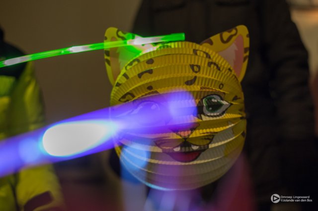 lampionnenoptochtbemmel8916.jpg