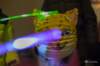 lampionnenoptochtbemmel8916_small.jpg