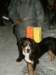 dscf0052_small.jpg