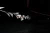 imgp9478_small.jpg