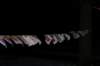 imgp9483_small.jpg