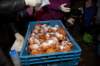 dsc_0069_small.jpg