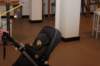 img_9577_small.jpg