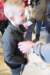 dsc_2270_small.jpg
